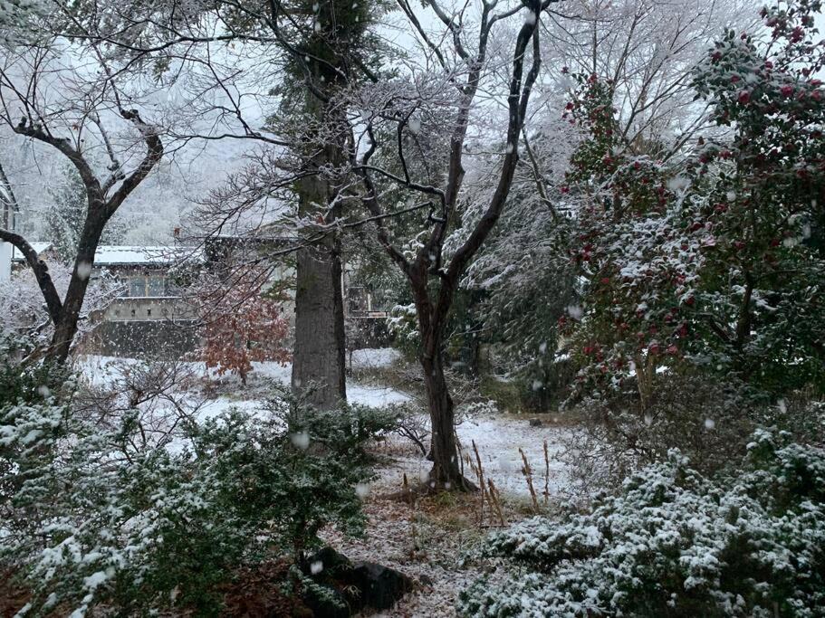 Photo of Others in Nagano