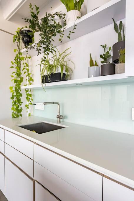 Photo of Kitchen in Chinatown