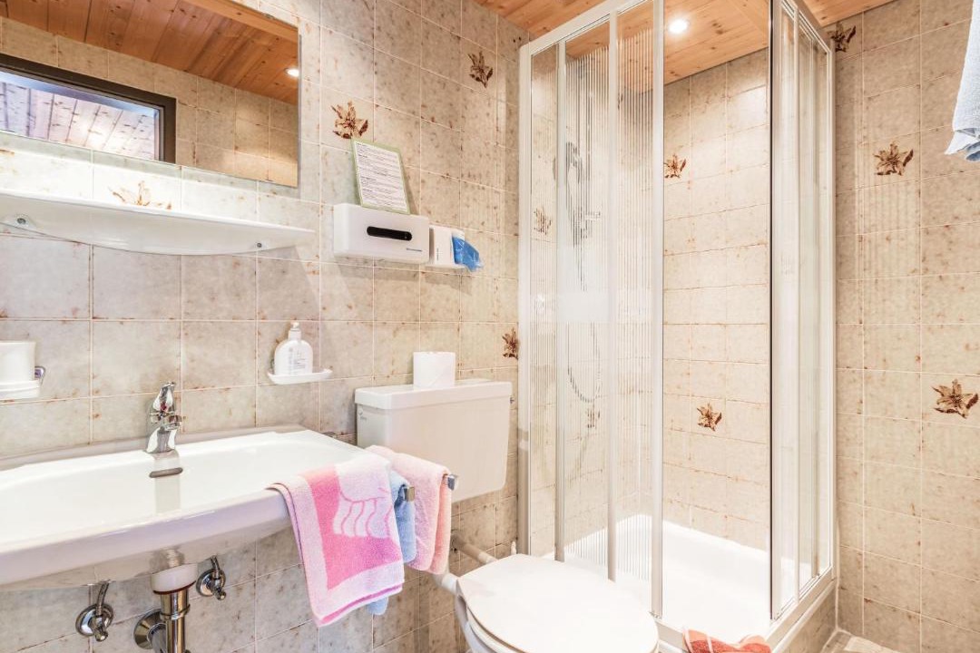 Photo of Bathroom in Pragraten