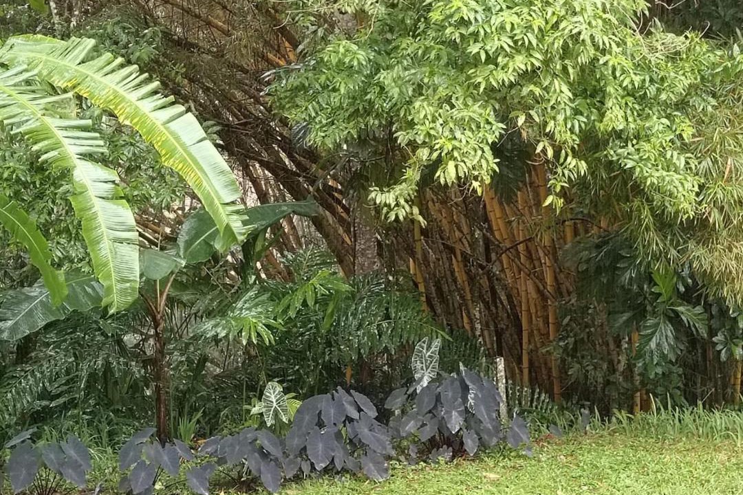 Photo of Others in Mocoa