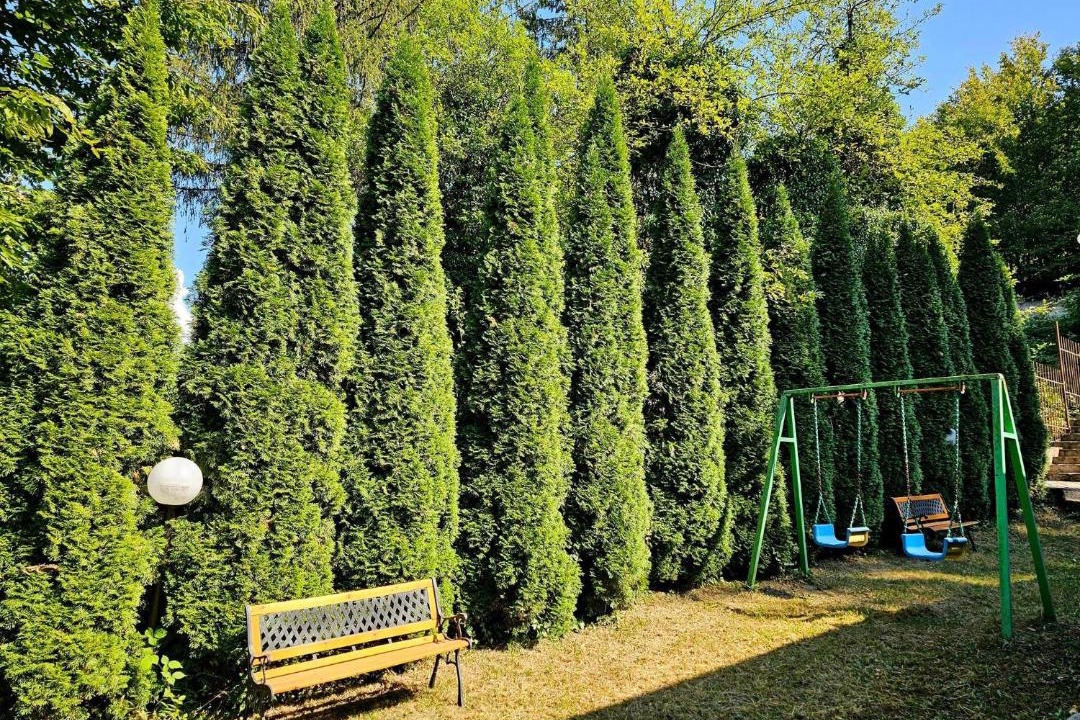 Photo of Outdoor in Chiflik
