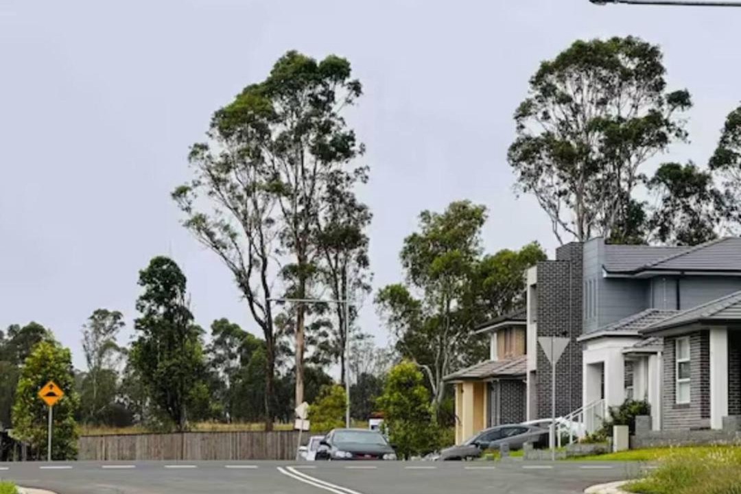 Photo of Others in Leppington