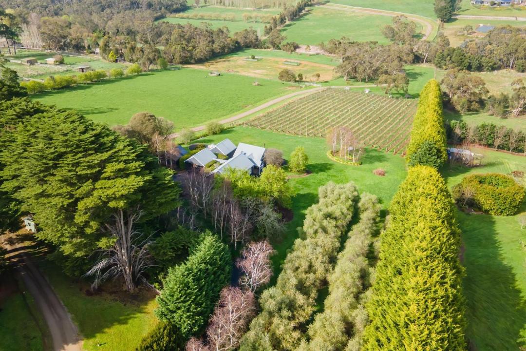 Photo of Others in Red Hill South
