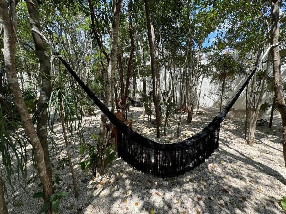 Photo of Outdoor in Playa Paraiso