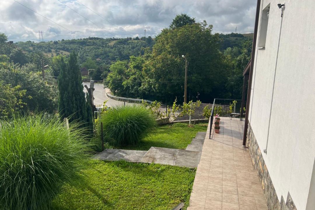 Photo of Others in Berkovitsa