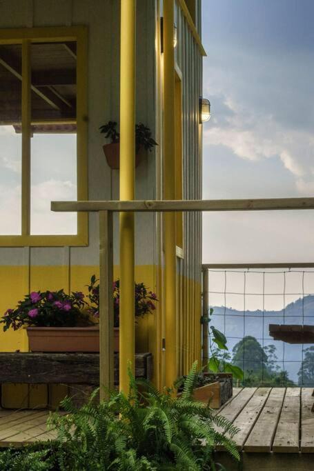 Photo of Patio Balcony in Jardin
