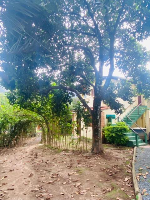Photo of Outdoor in Vale do Capao