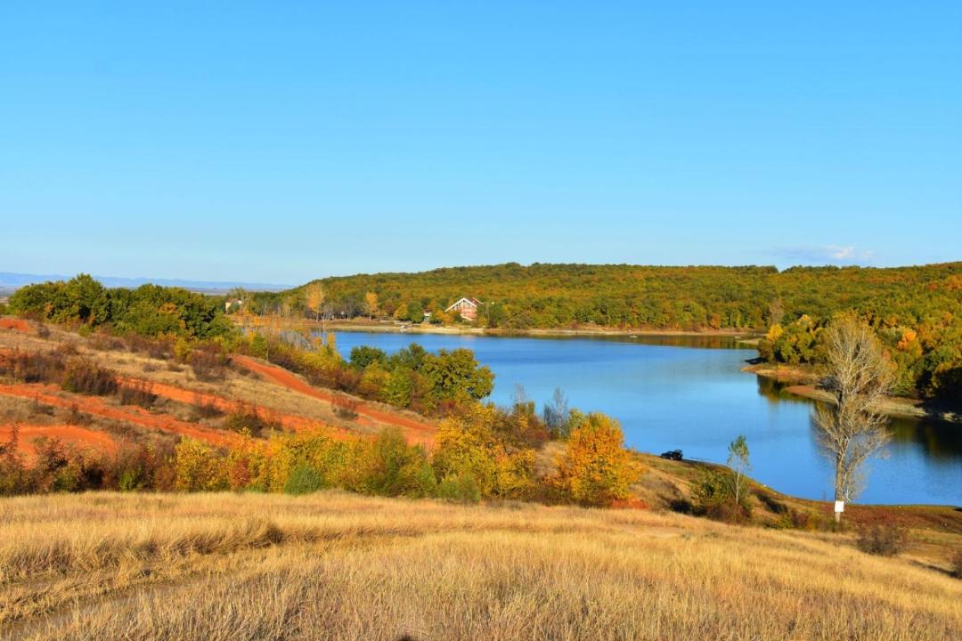 Photo of Others in Lyaskovo