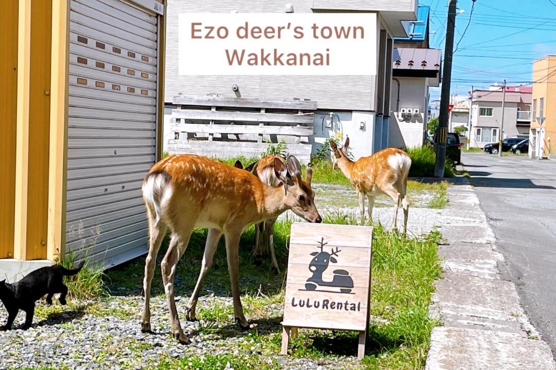 Photo of Others in Wakkanai