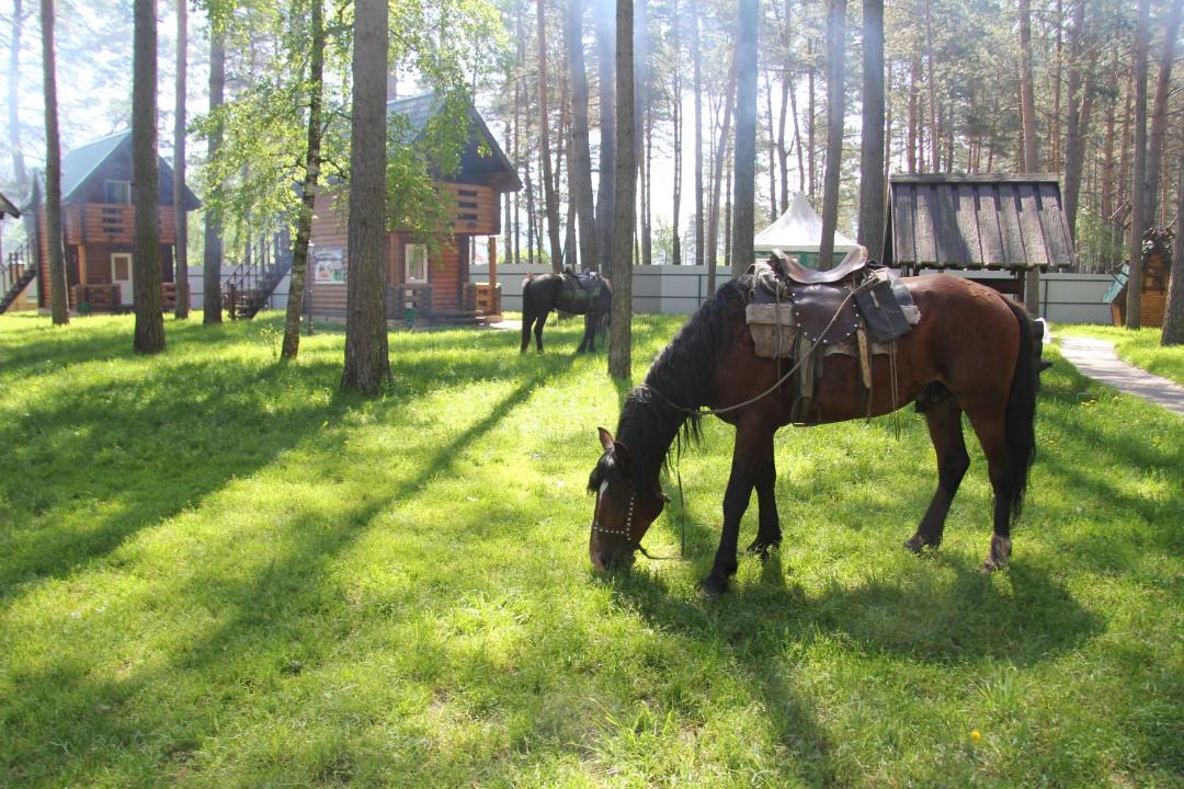 Photo of Others in Cheposh