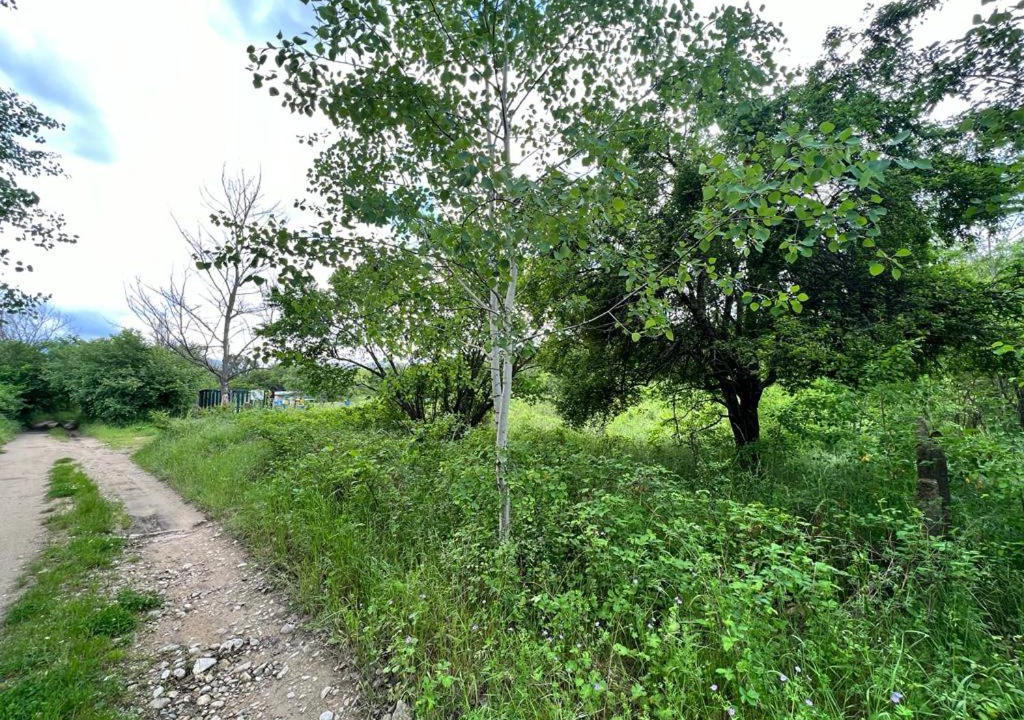 Photo of Outdoor in Kazanlak