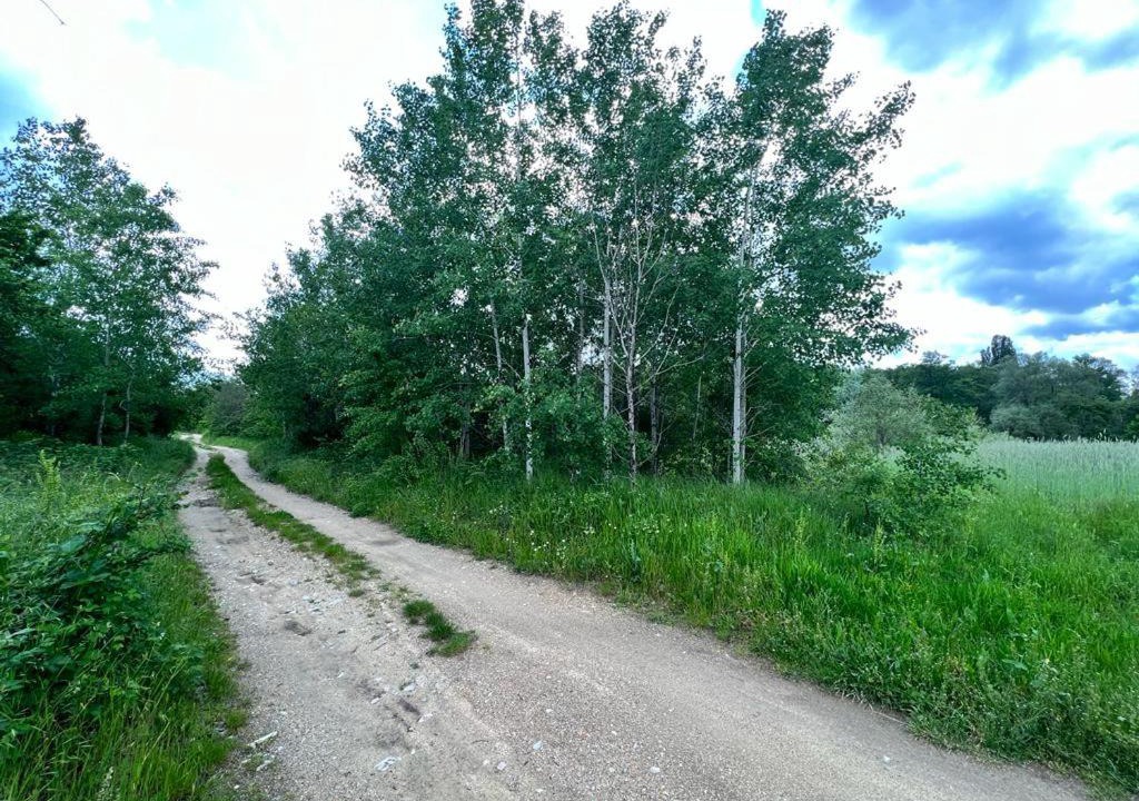 Photo of Others in Kazanlak