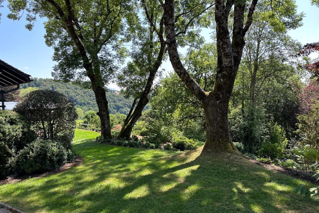 Photo of Others in Bourg-en-Lavaux