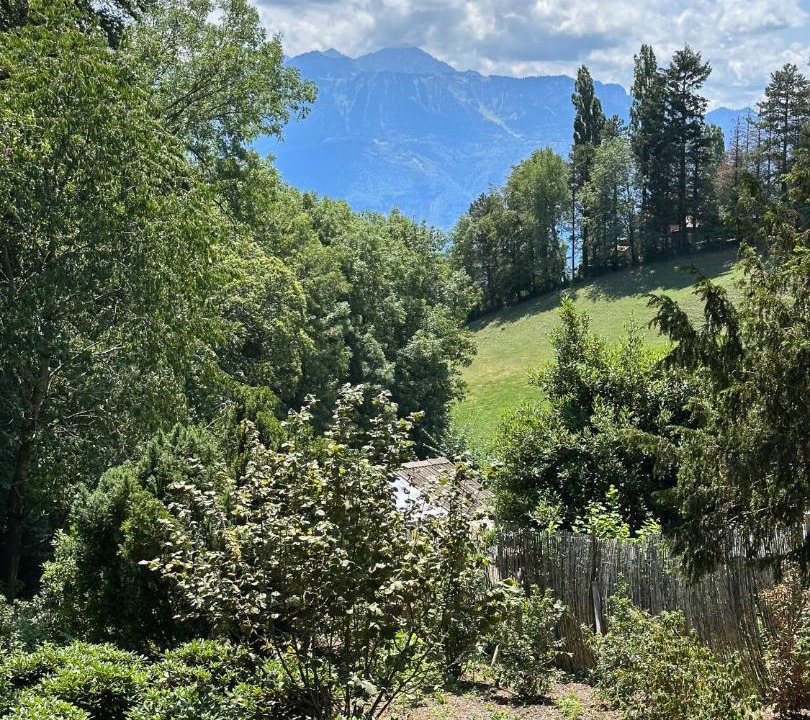Photo of Others in Bourg-en-Lavaux
