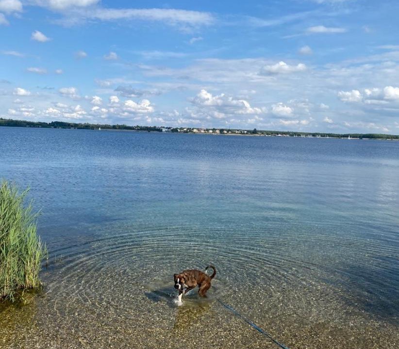 Photo of Outdoor in Suedwest