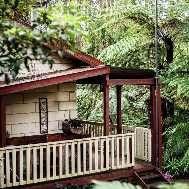 Photo of Others in Mount Dandenong