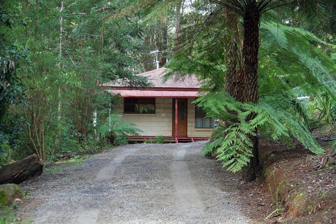 Photo of Others in Mount Dandenong