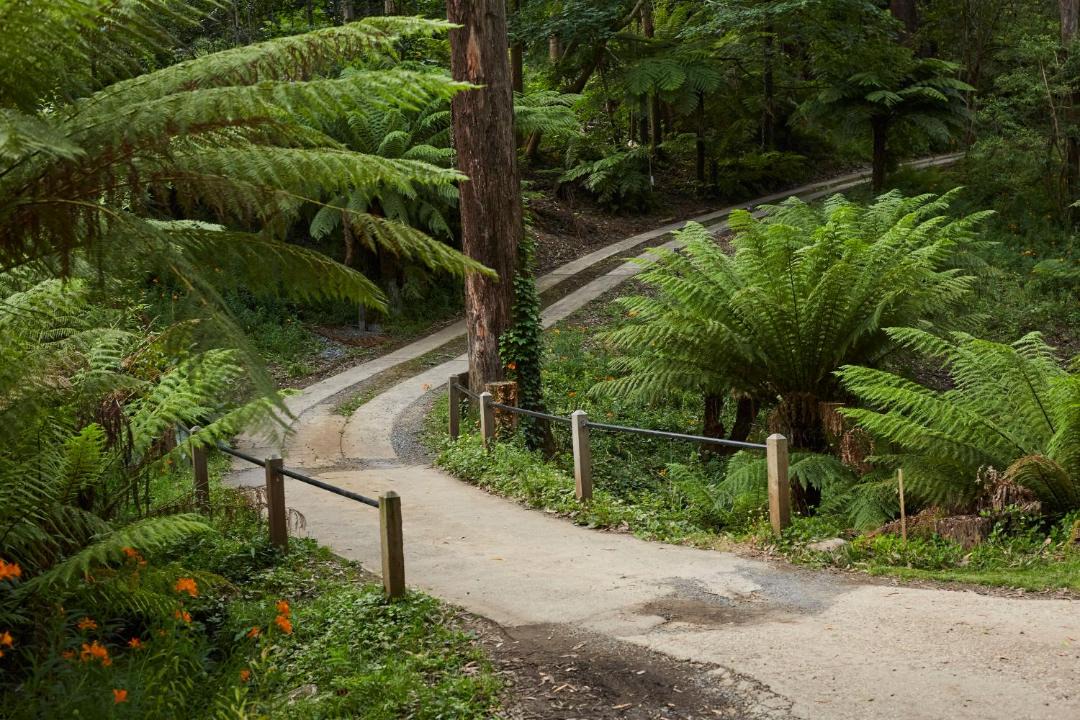 Photo of Others in Mount Dandenong