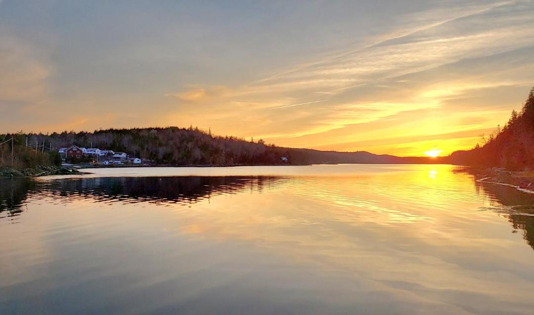 Photo of Others in Head of Jeddore