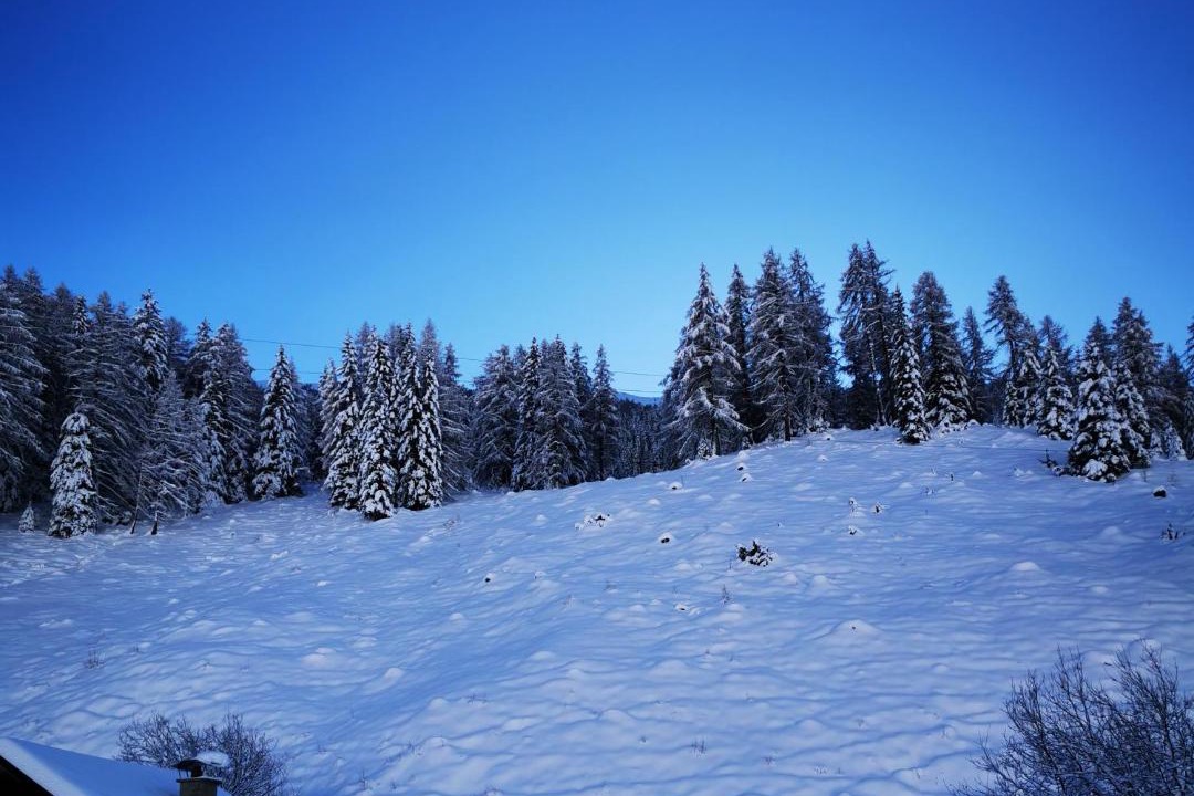 Photo of Others in Schmirn