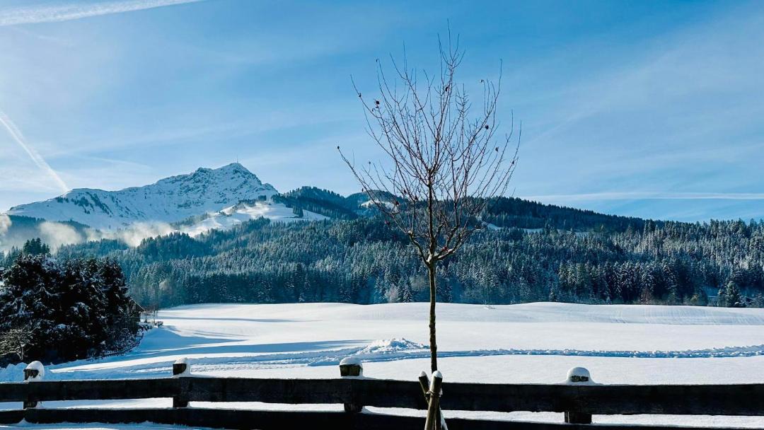 Photo of Outdoor in Sankt Johann in Tirol