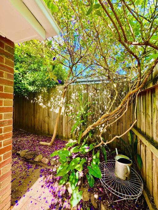 Photo of Others in Wantirna South