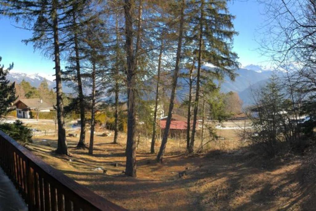 Photo of Others in Montana