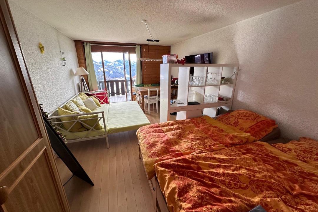 Photo of Others in Leysin