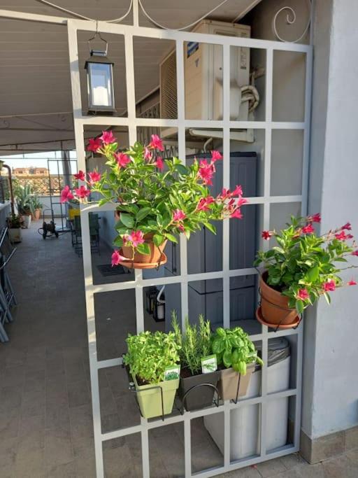 Photo of Patio Balcony in Quartiere XXVIII Monte Sacro Alto