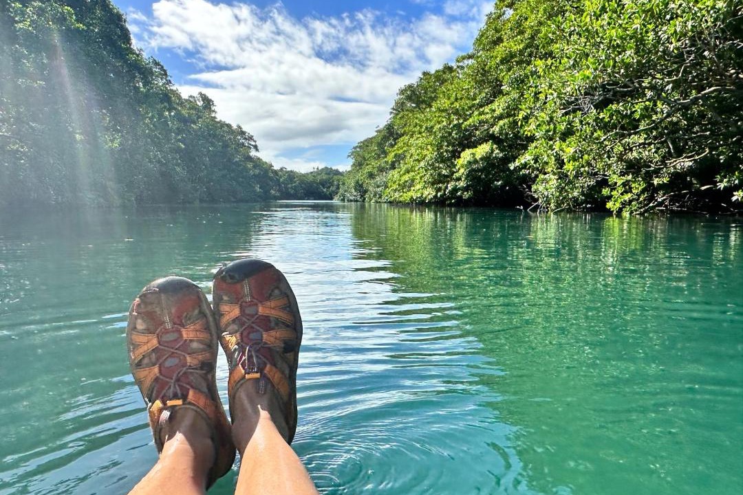 Photo of Others in Savusavu
