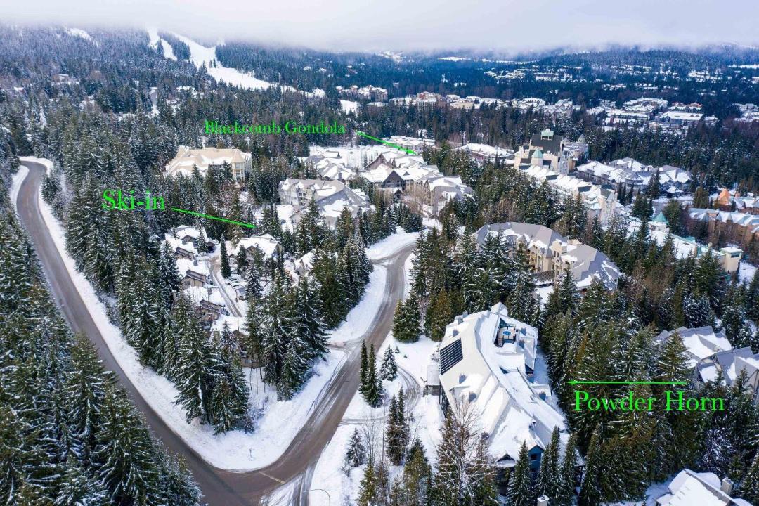 Photo of Others in Blackcomb