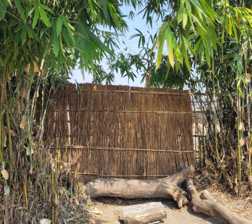 Photo of Others in Chitwan District