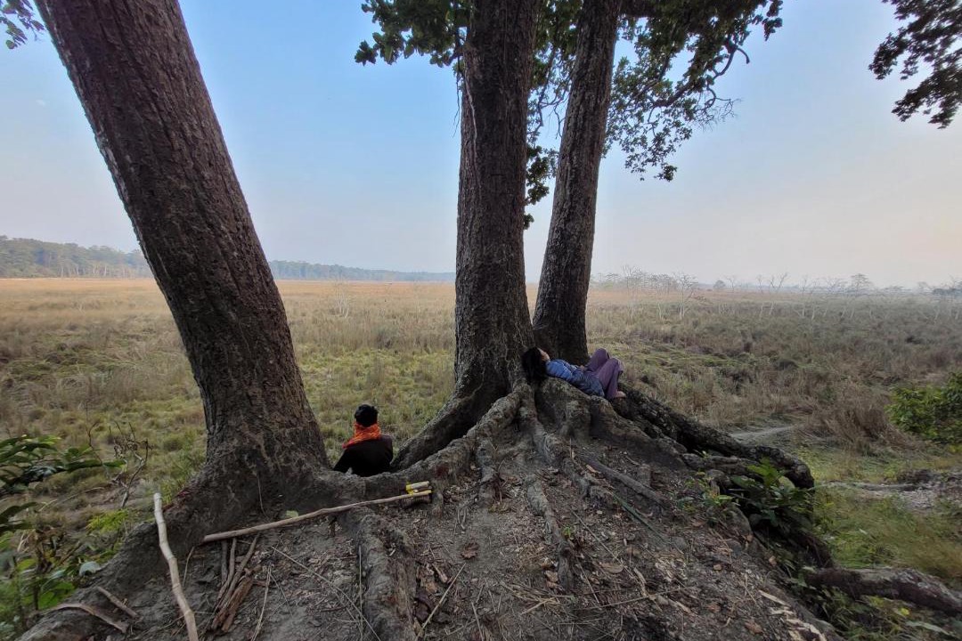 Photo of Others in Chitwan District