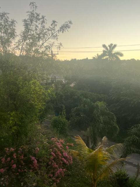 Photo of Others in Montego Bay