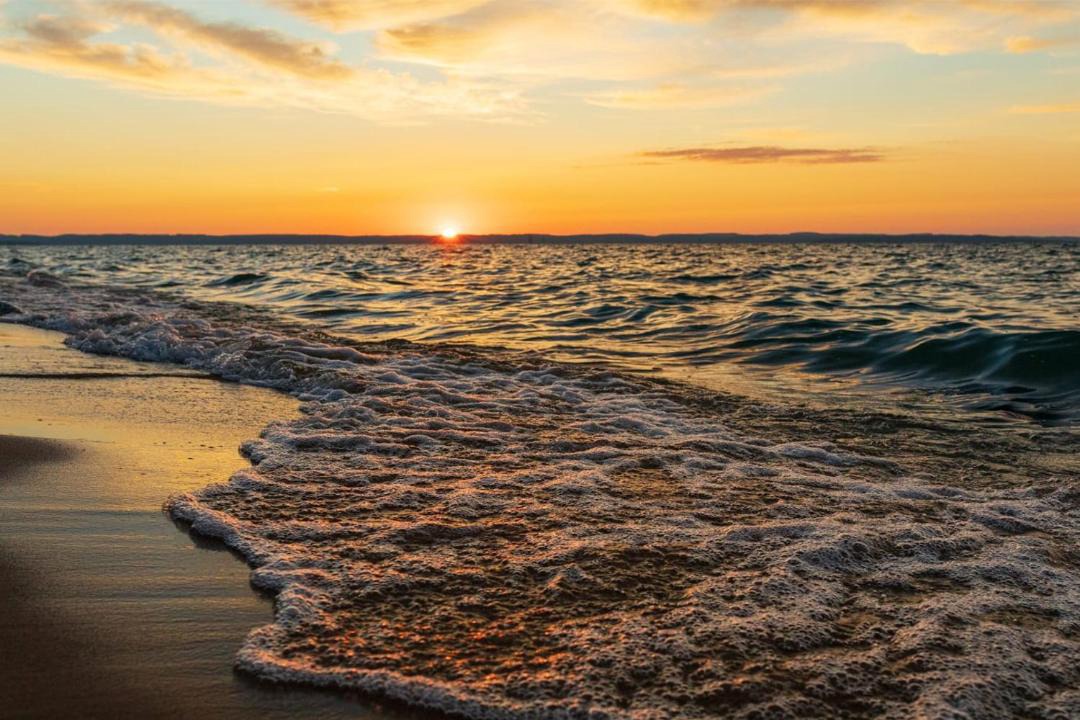 Photo of Others in Traverse City