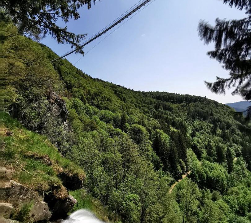 Photo of Others in Todtnauberg