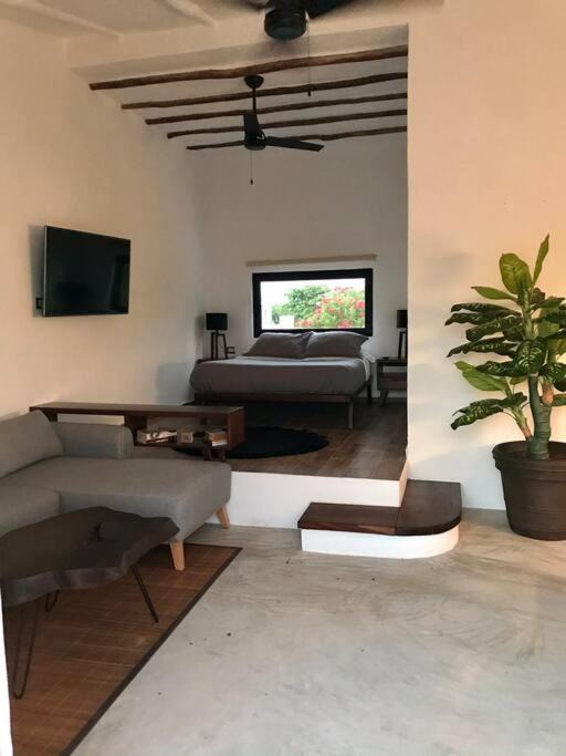Photo of Livingroom in Majahual