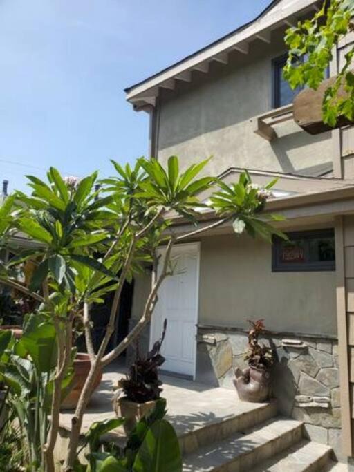 Photo of Buildings in Mar Vista