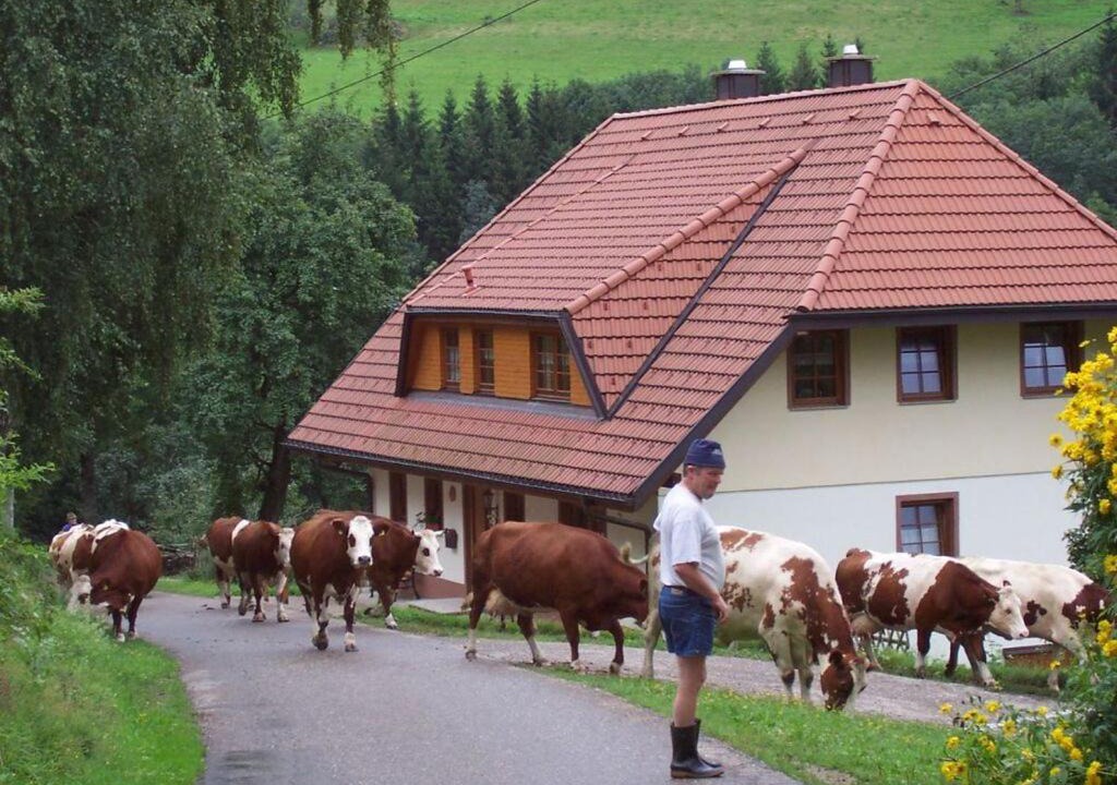 Photo of Others in Sankt Peter