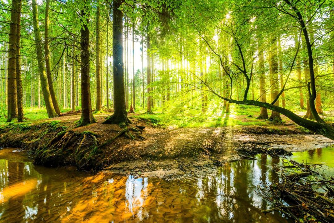 Photo of Others in Brilon-Wald