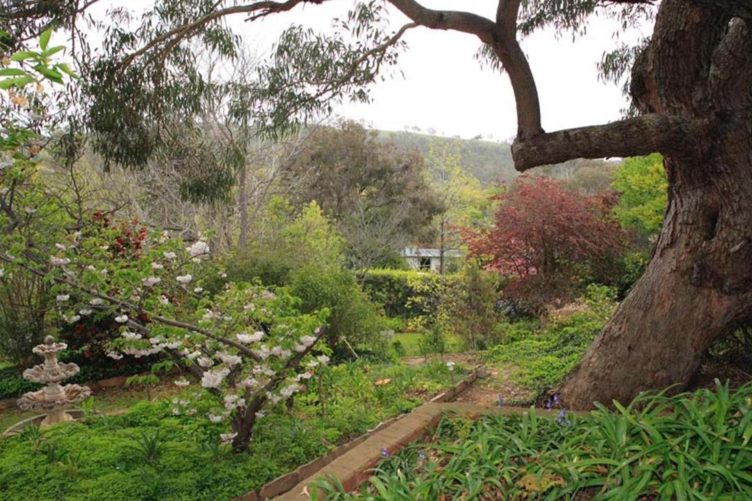 Photo of Others in Red Hill