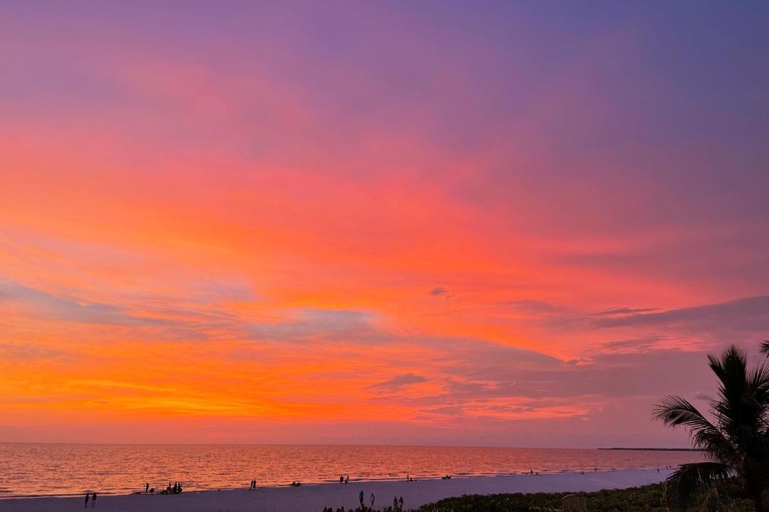 Photo of Others in Marco Island