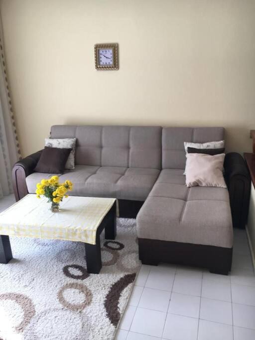 Photo of Livingroom in Payallar