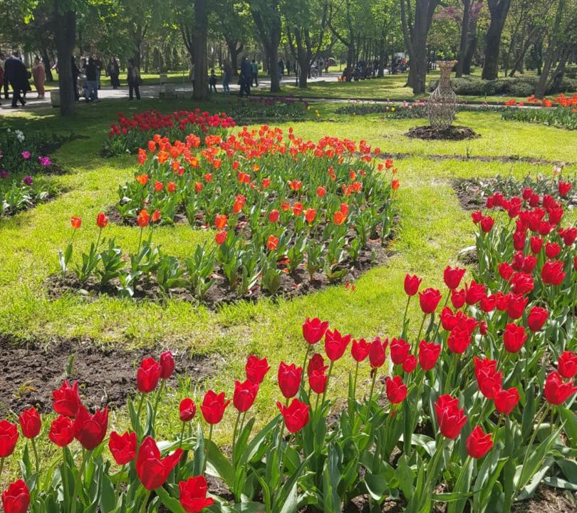 Photo of Others in Burgas