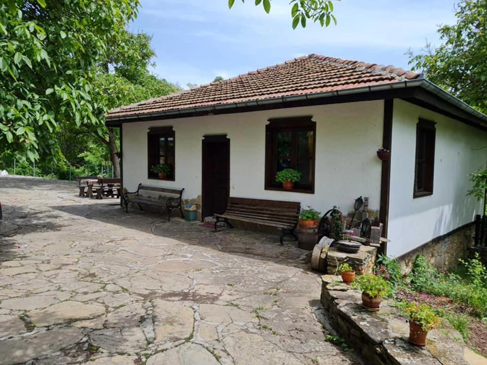 Photo of Others in Tryavna