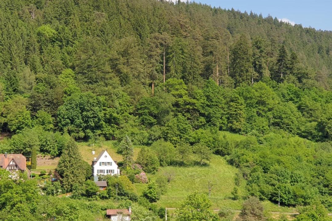 Photo of Outdoor in Calw