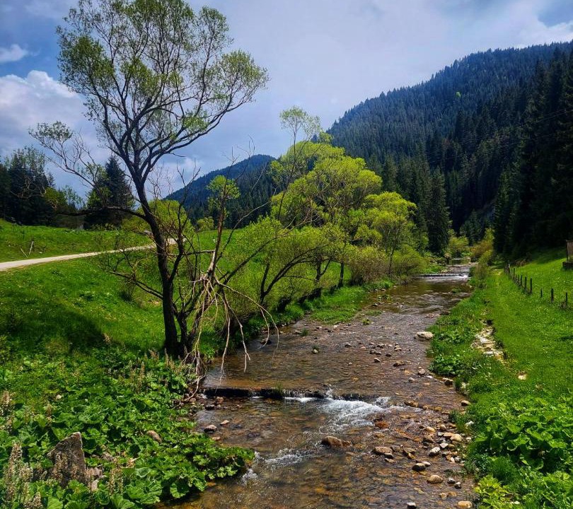 Photo of Others in Trigrad