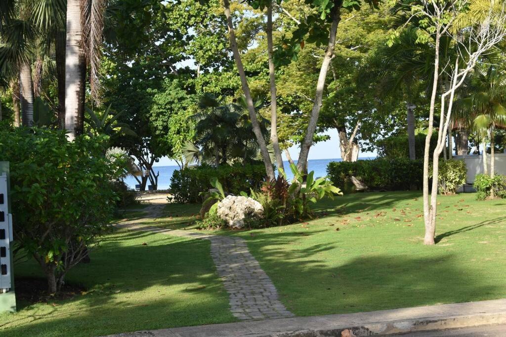 Photo of Others in Little Bay