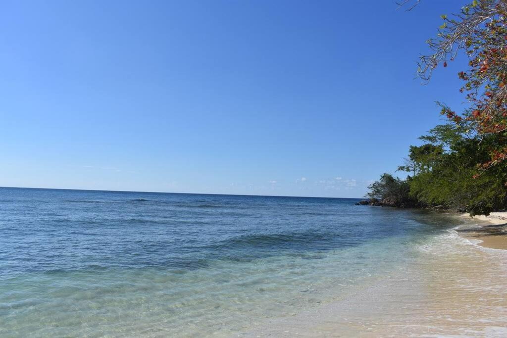Photo of Outdoor in Little Bay