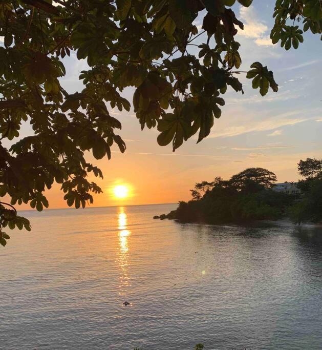 Photo of Outdoor in Little Bay